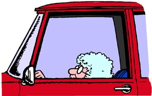 car-jokes-old-woman-behind-wheels