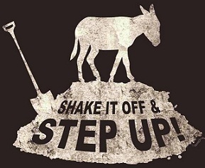 shake-it-off-and-step-up