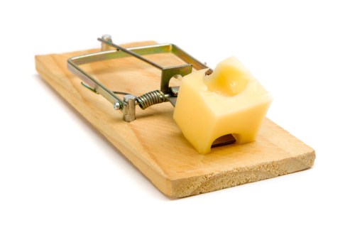 Mouse_Trap