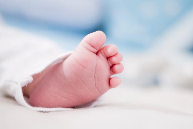 baby-baby-foot-barefoot-1271565